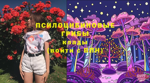 трава Балахна