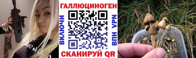 купить закладку  Георгиевск  Галлюциногенные грибы ЛСД 